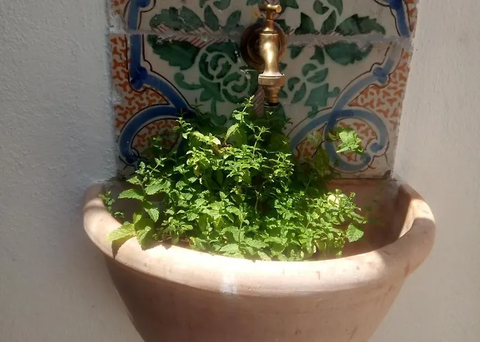 Il Terrazzino Sul Kemonia